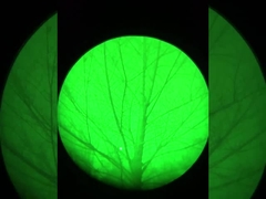 ナイトビジョン効果